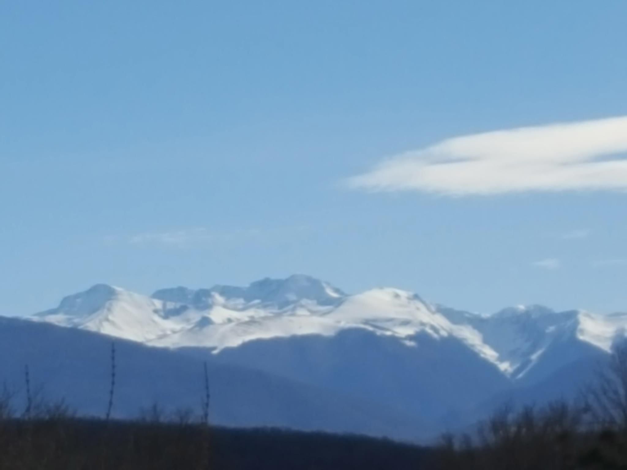 屋外の景色
