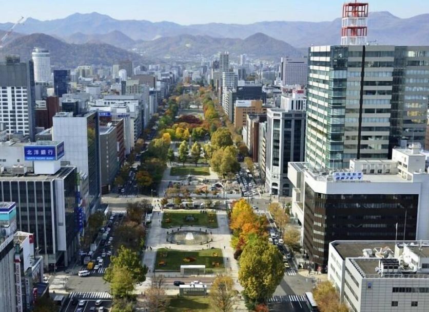 屋外の景色 写真