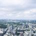 屋外の景色
