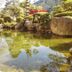 屋外の景色