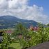 屋外の景色