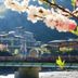 屋外の景色