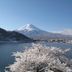 屋外の景色