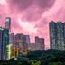 屋外の景色