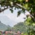 屋外の景色