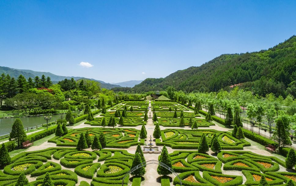 リビングルーム 写真