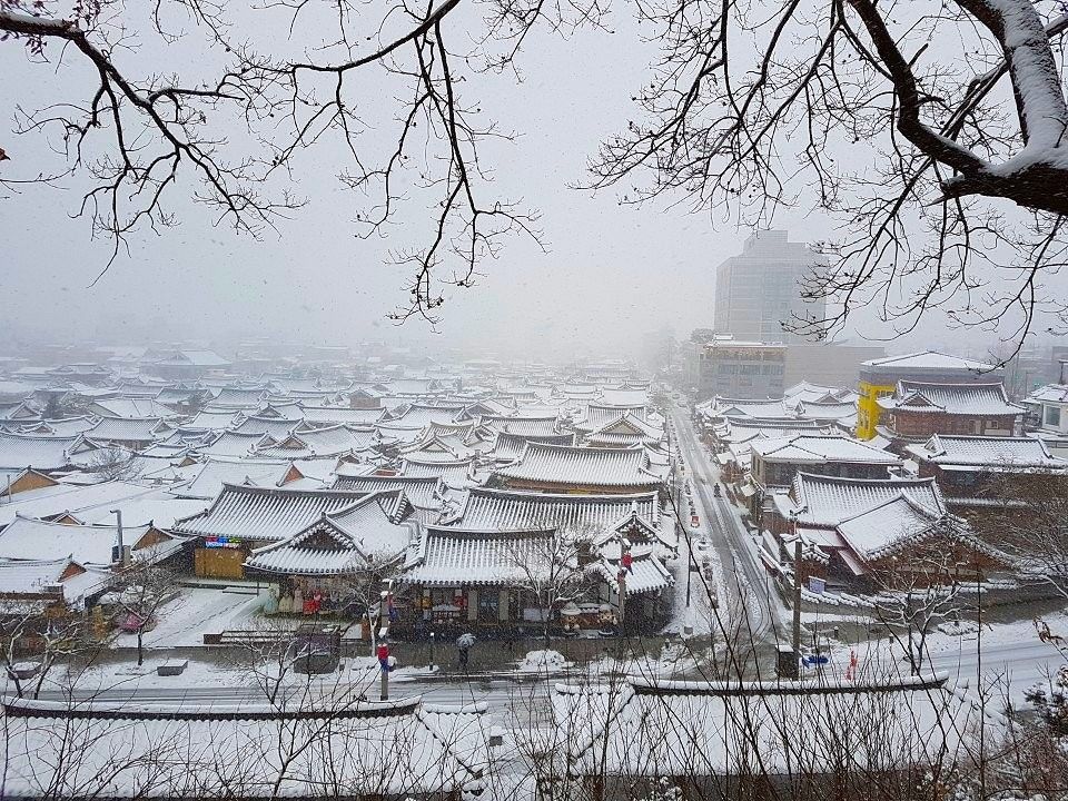 屋外の景色