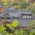 屋外の景色