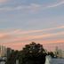 屋外の景色