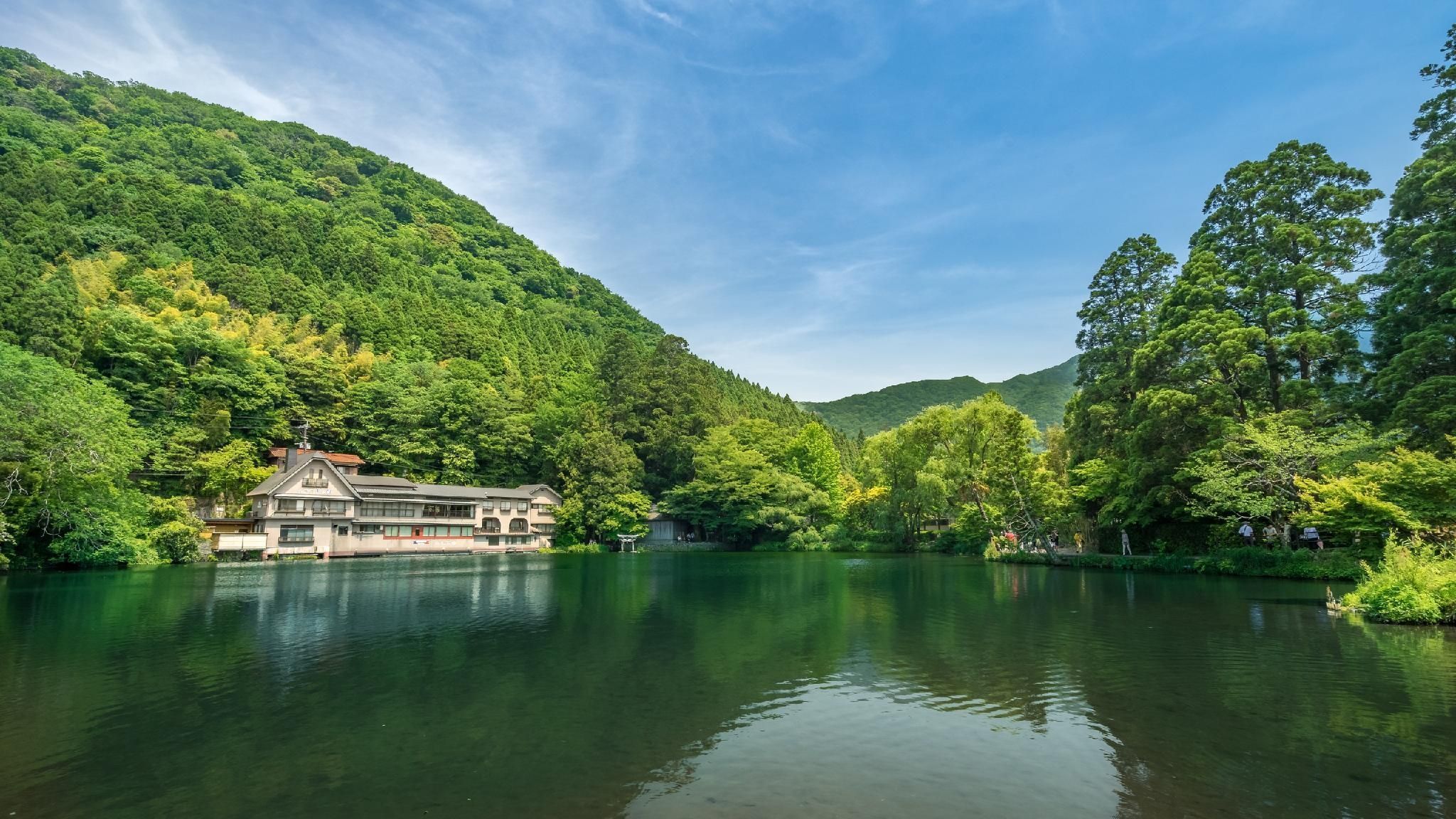 屋外の景色