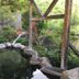 屋外の景色