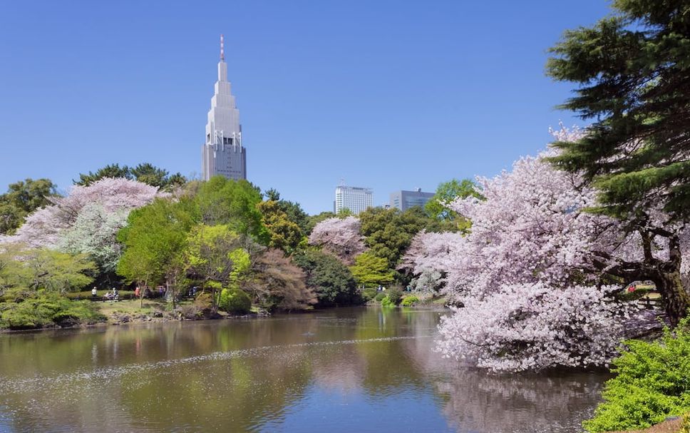 屋外の景色 写真