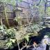 屋外の景色