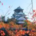 屋外の景色