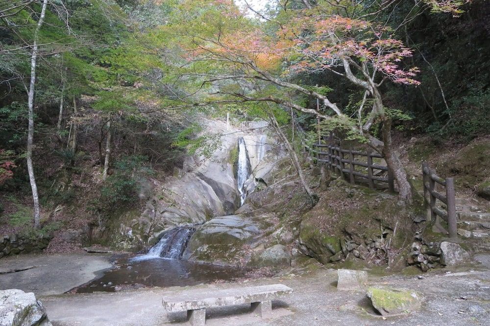 屋外の景色
