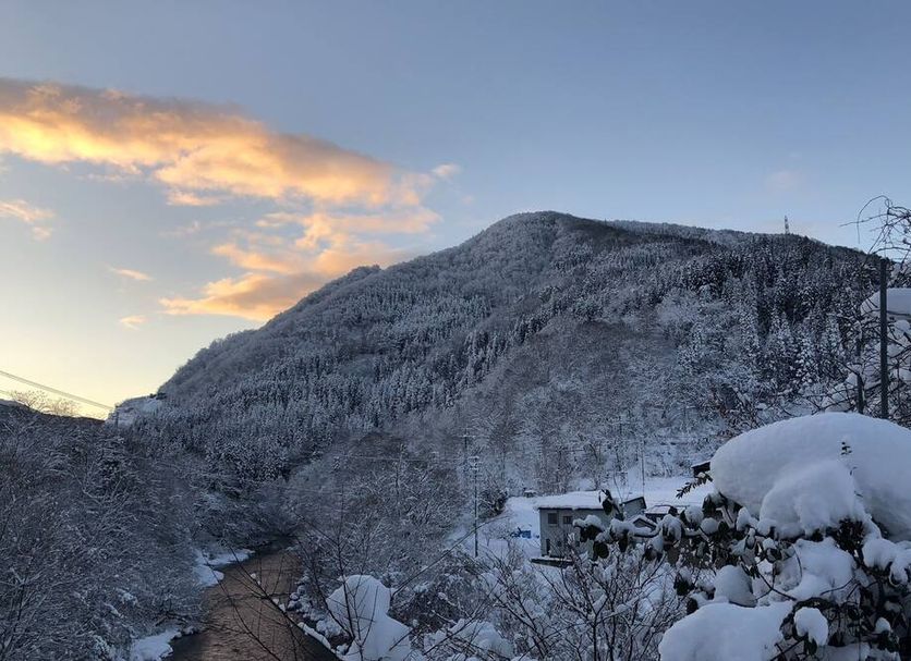 屋外の景色 写真
