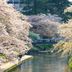 屋外の景色