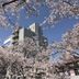 屋外の景色