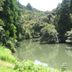 屋外の景色