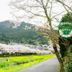 屋外の景色