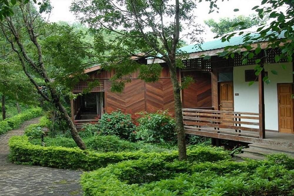 屋外の景色