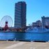 屋外の景色