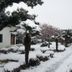 屋外の景色