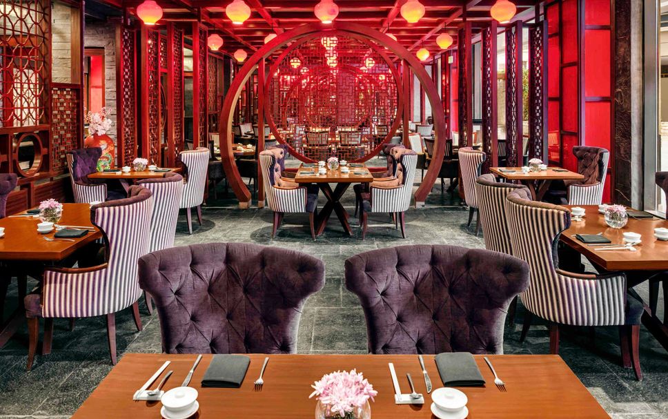 レストラン 写真