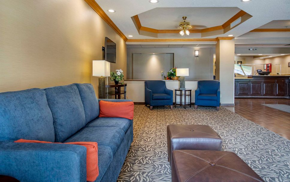 リビングルーム 写真