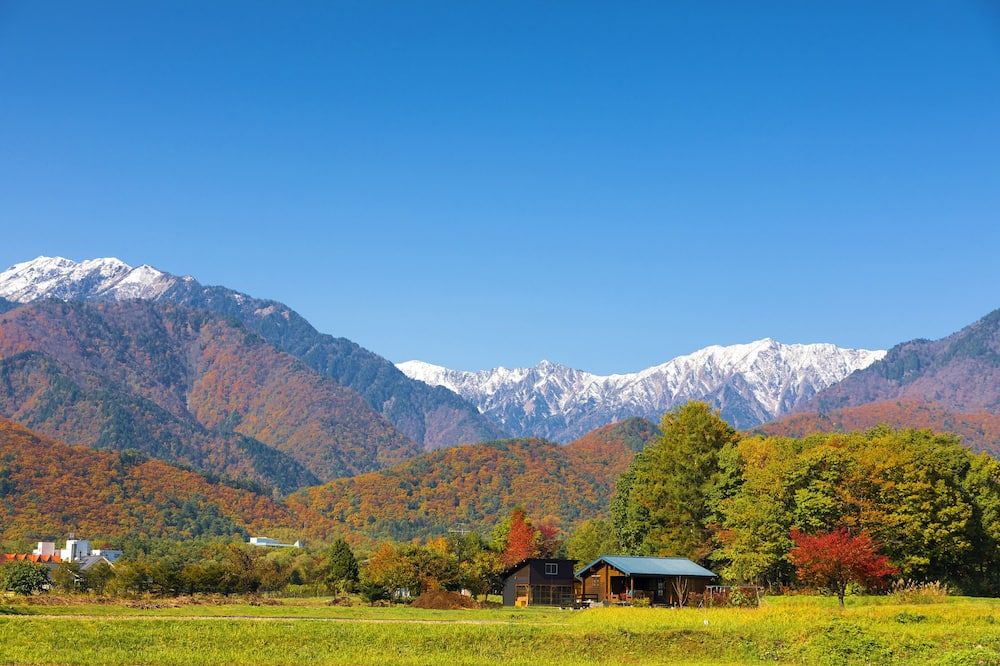 屋外の景色