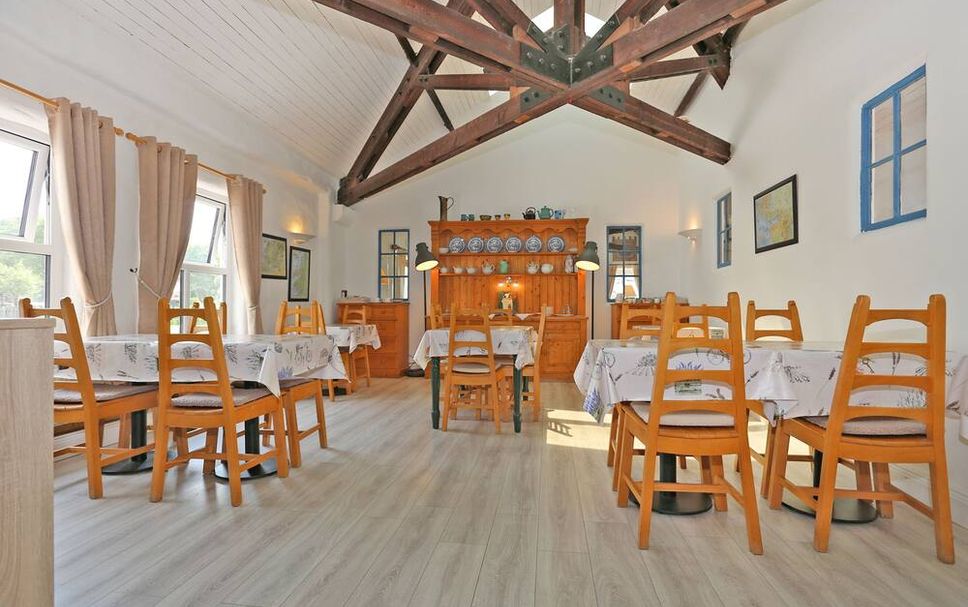 レストラン 写真