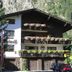 建物