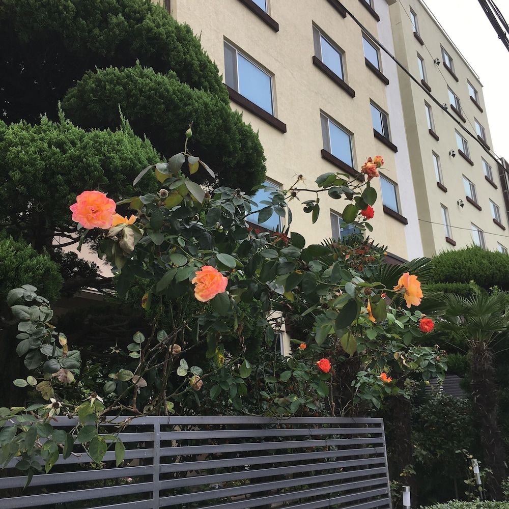 屋外の景色