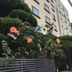 屋外の景色