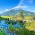屋外の景色
