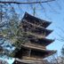 屋外の景色