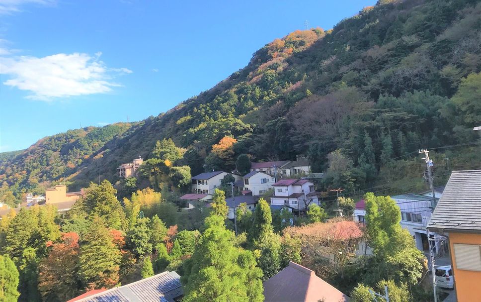 屋外の景色 写真