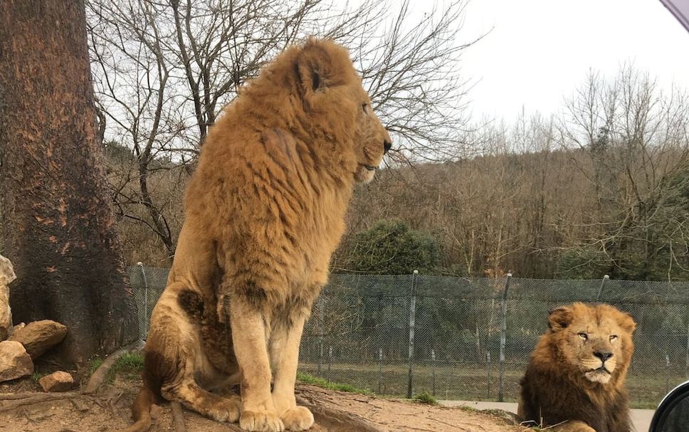 その他 写真