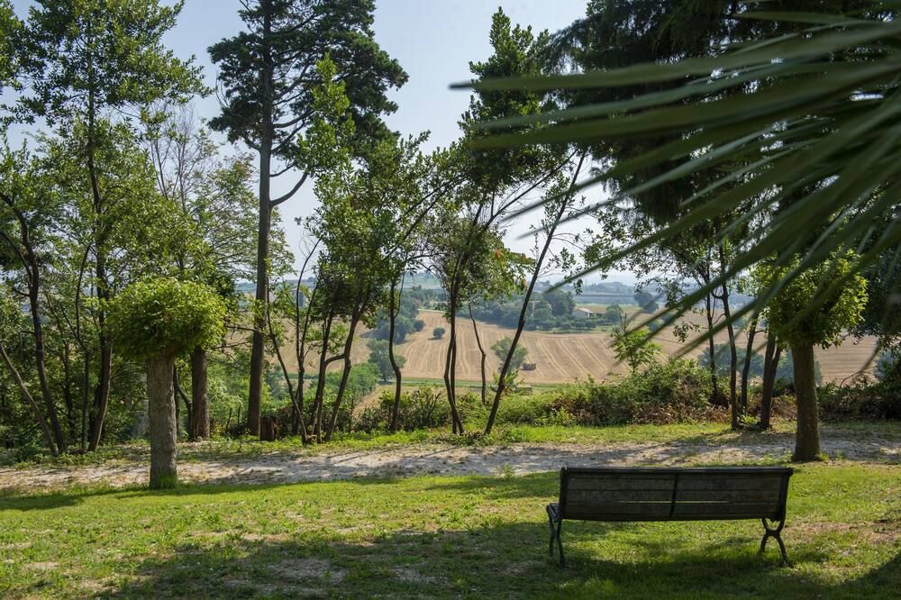 屋外の景色