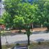 屋外の景色