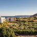 屋外の景色