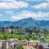 屋外の景色