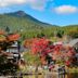 屋外の景色