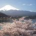 屋外の景色