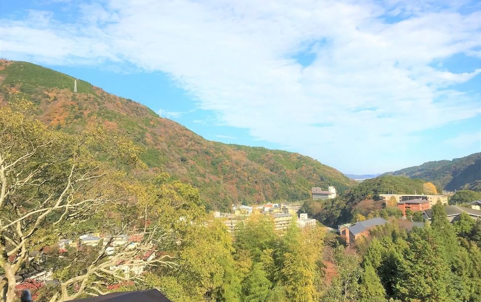 屋外の景色 写真