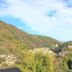 屋外の景色