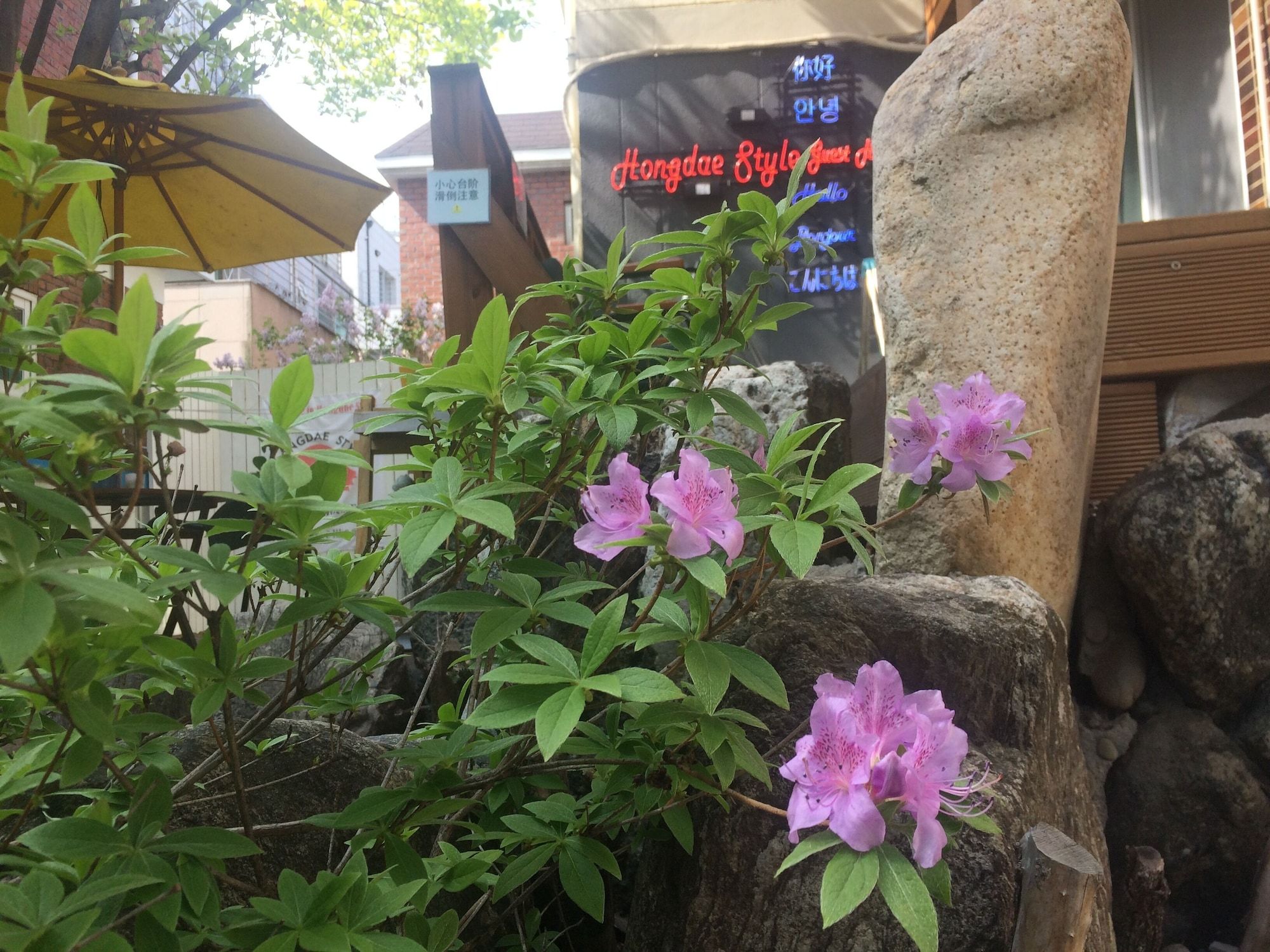 屋外の景色