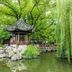屋外の景色