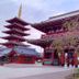 建物