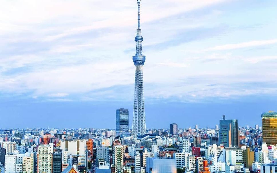 屋外の景色 写真